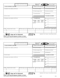 W2 Laser Printer Form FEDERAL Copy B 50-Sheet Pack<br><br>LW2B